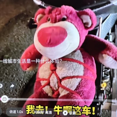 🍉小舅舅 tweet media