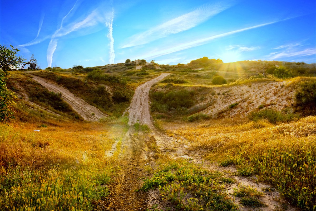 shury45's tweet photo. Each individual follows a distinct path. Every person is unique, and as a result, their life journey is also distinct. Let us strive to remain true to our inner selves and to the course of our lives. #NFTCommunity #NaturePhotography https://t.co/f1wSfiwheL