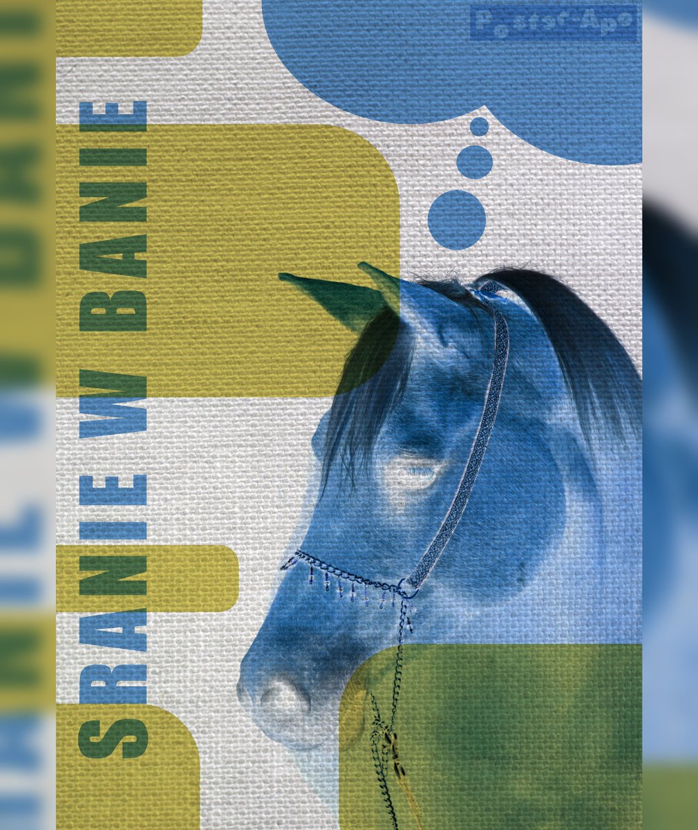 PosterApo's tweet photo. @senedotexe POWRACAM Z KONIEM
#poster #plakat #posterapo #poster_apo #horse #koń #ihaha #patataj #prr https://t.co/KCrUxg3XeD