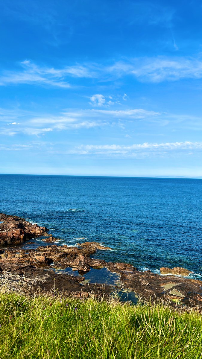 rubbish (@ffarkus99) on Twitter photo 