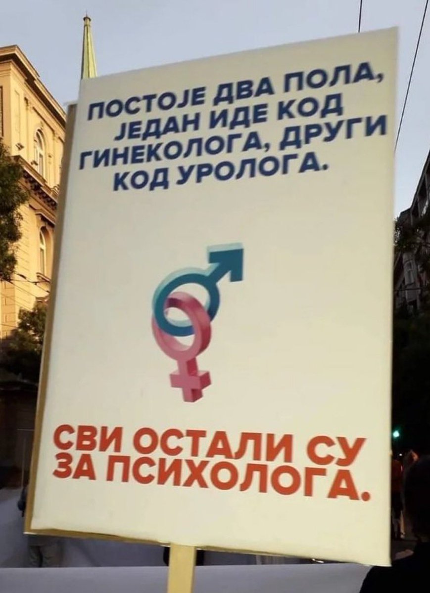 Geopolia tweet media