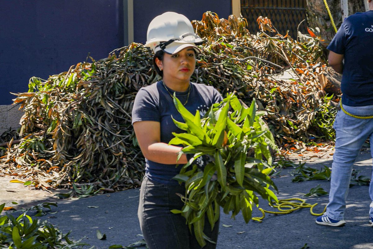 GobernacionSV's tweet photo. ✔ Con el fin de reducir riesgos y resguardar la vida de los salvadoreños en esta época de lluvias.

#PlanInvierno2023 https://t.co/dlaZrdMZTb