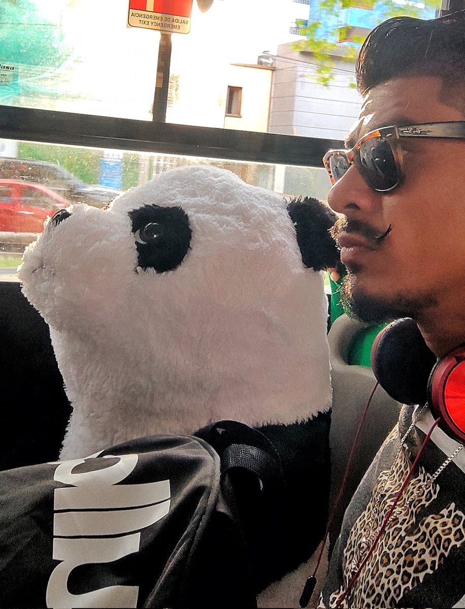 ikerdemoficial's tweet image. 💬 Cuando tu mejor amigo es un panda 🐼 y vas con él a todos lados.

#Panda #OsoPanda #Peluche #Gigante #Toys #Bus #Micro #Transporte #Jaja #Risas #TransportePublico #unico #undianormal
