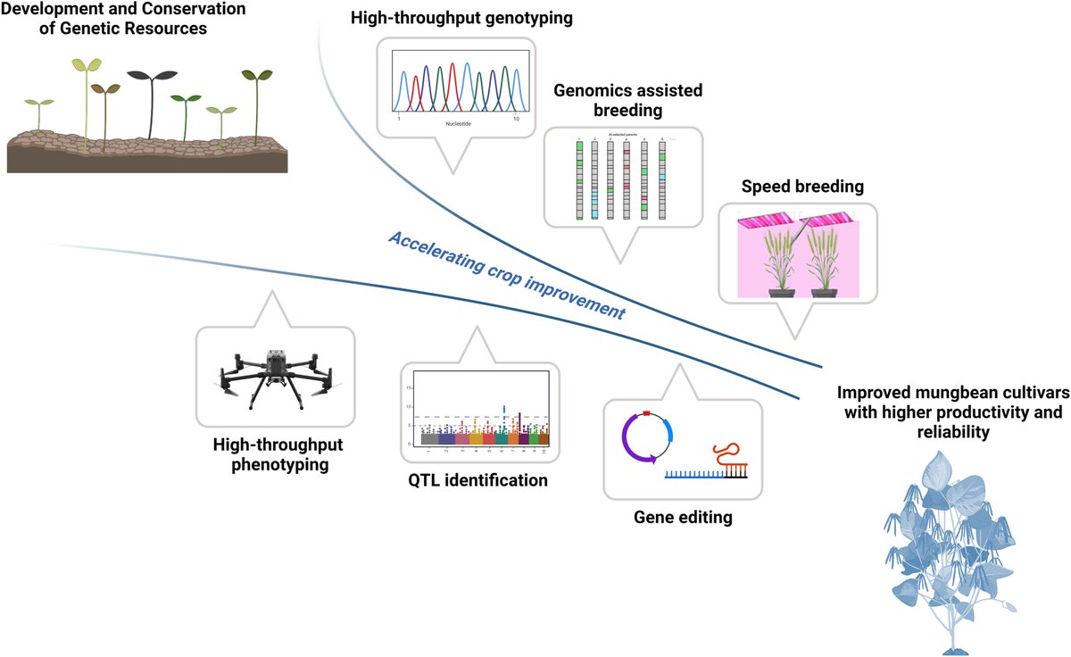 Wiley Ecology, Environment, and Sustainability​​ tweet media