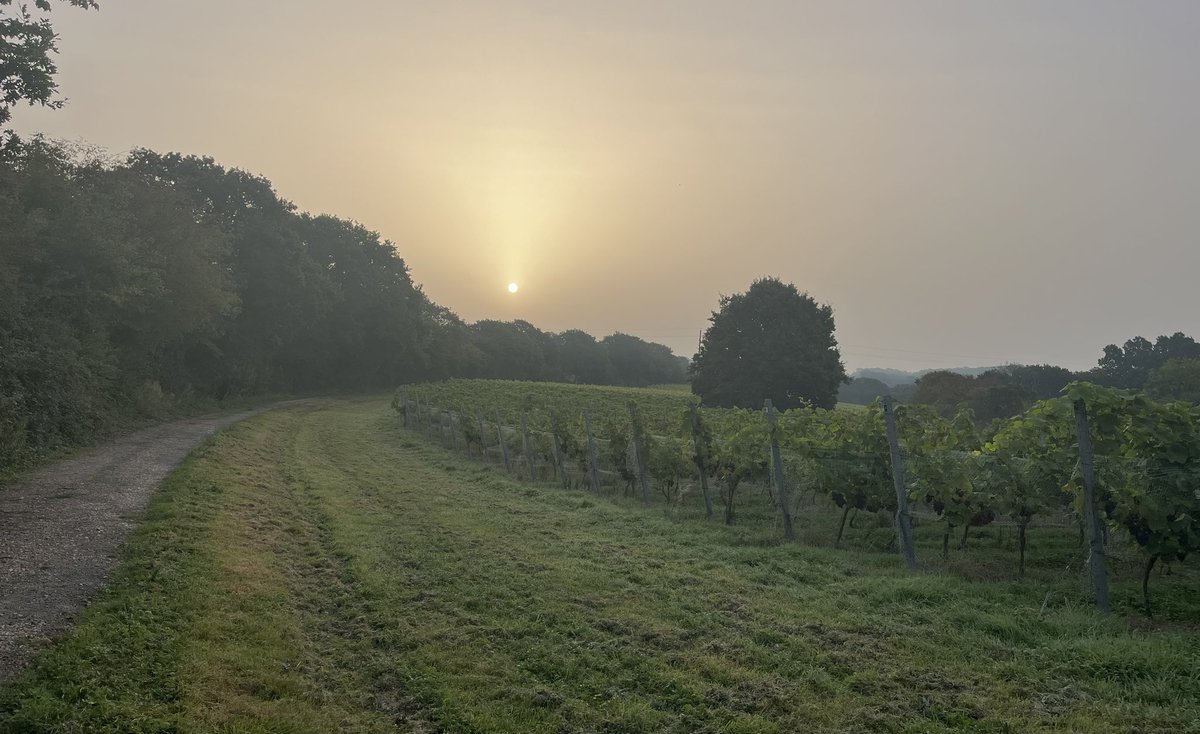 OffTheLine tweet media