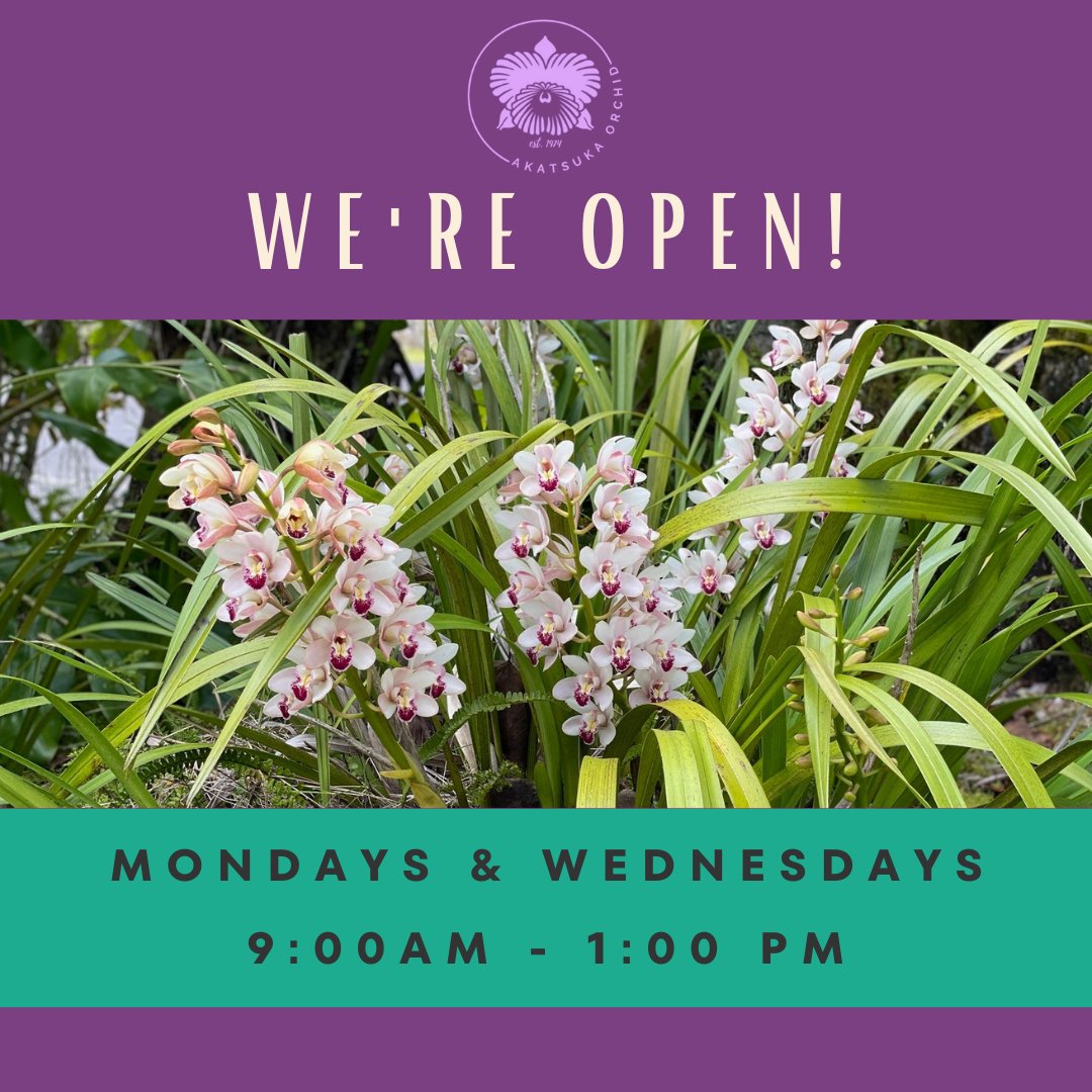 🌴Exciting news! Our Volcano nursery is OPEN on Mondays & Wednesdays, 9 AM - 1 PM, starting Sept. 6. No lunch closure. 🌼 #GardenReopens #opentoday #visitorswelcome