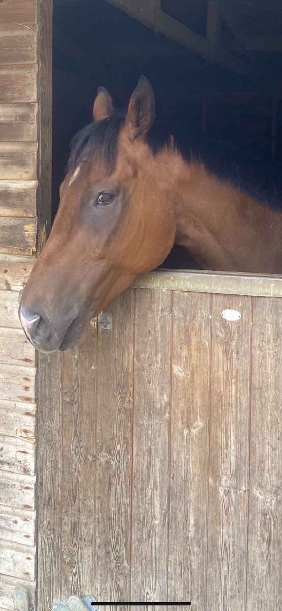 BrHeggs's tweet image. Not been the best of weeks so far but some how spending time with my best mate never fails to put a smile on my face #atty