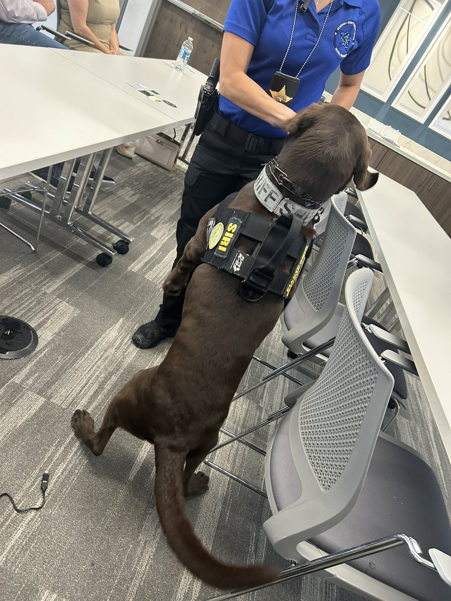 jeremycec's tweet image. Today I learned that there are electronic sniffing K-9s that can detect 0.002 milligrams of odor from triphenylphosphine oxide (TPPO). 
@HTCIA 
@Abacode_Cyber 
@SeminoleSO