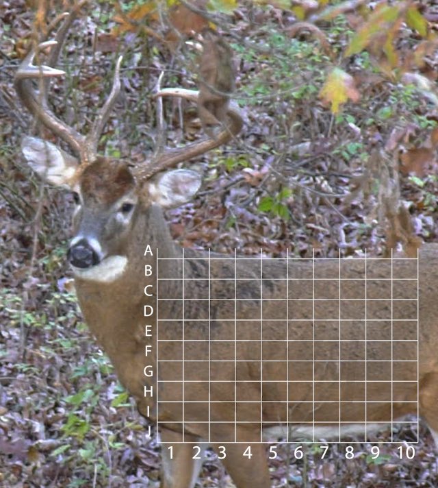 Drury Outdoors 🦌 tweet media