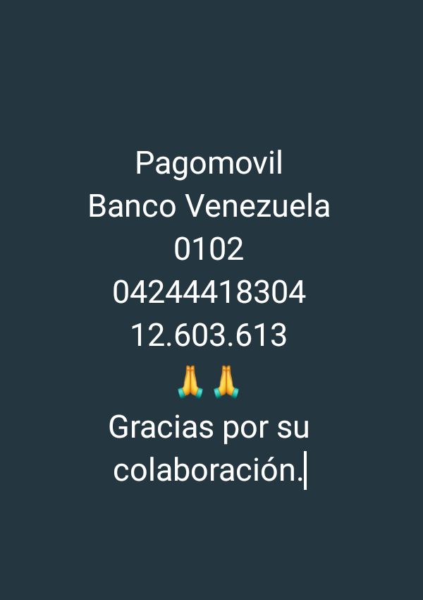 YE MIR 🌻🌻 tweet media