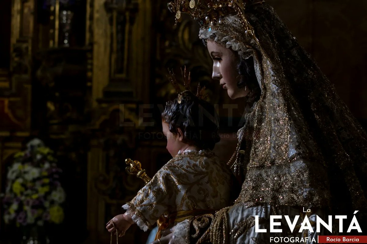 📷 SEVILLA - Julio en el Buen Suceso 

#LaLevantaweb #Sevilla #julio #Carmen #photo #Glorias23