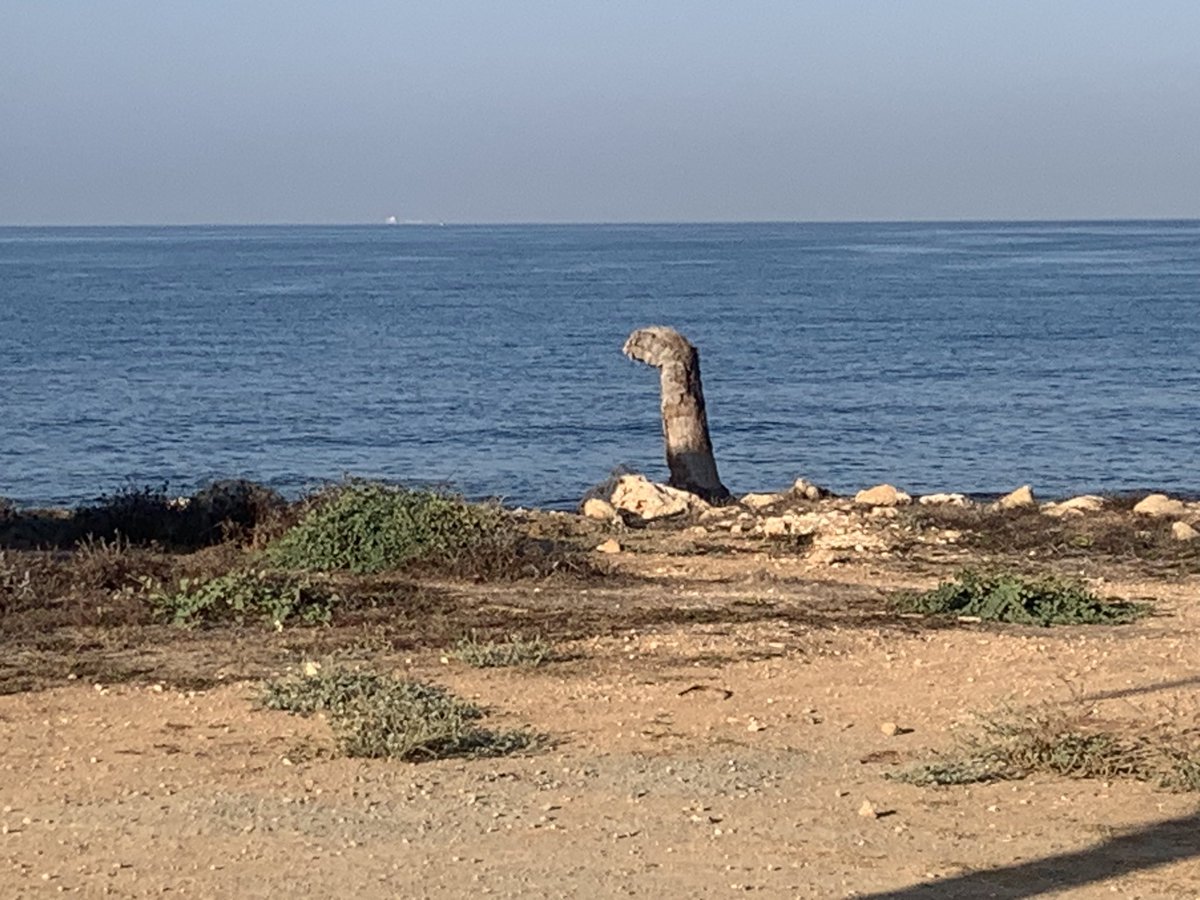 pandapoo67's tweet image. Found #nessy sunning it in #paphos Cyprus this morning! #lochnessmonster