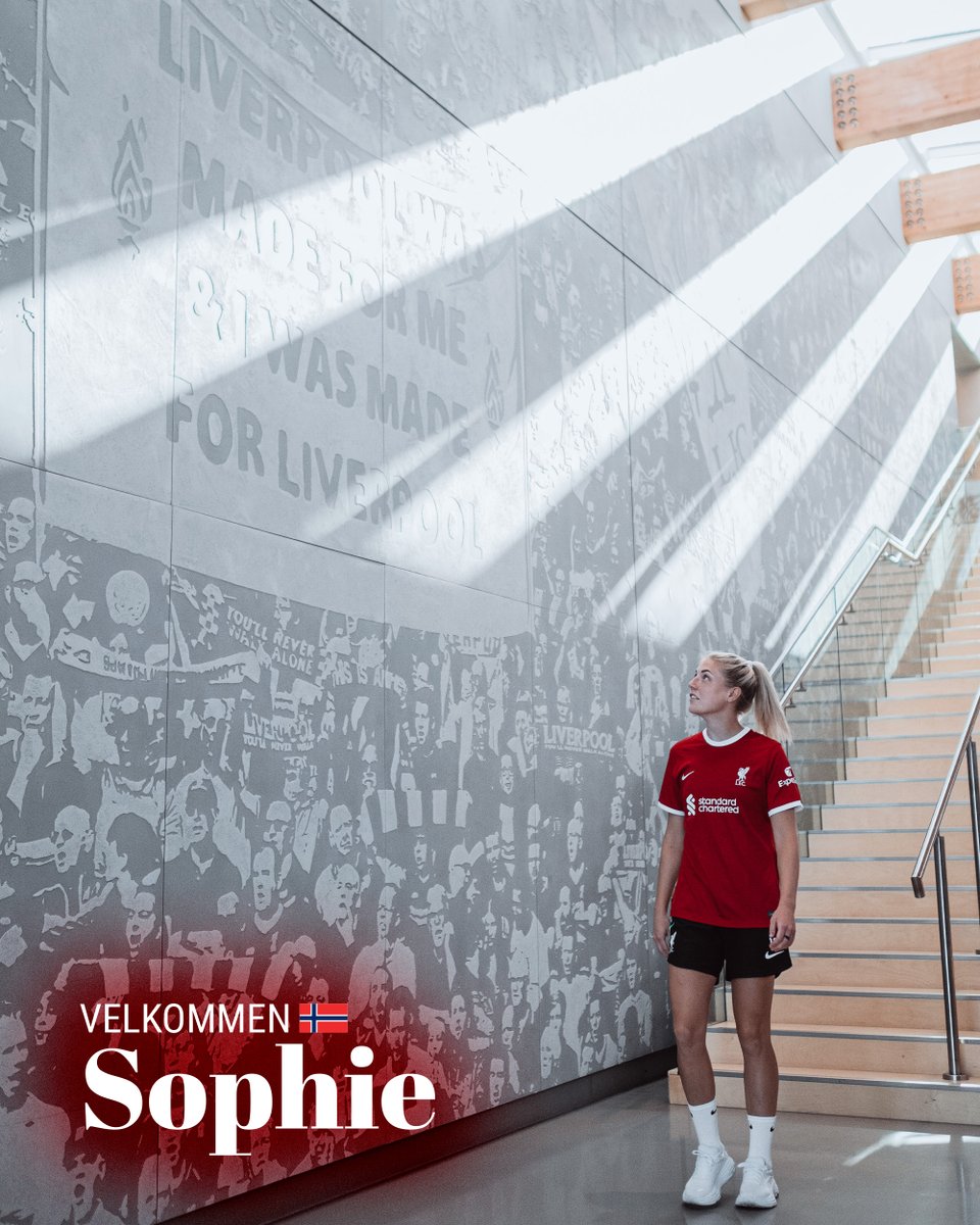 LiverpoolFCW's tweet photo. Good morning 😍 https://t.co/5pN79Rpeoj