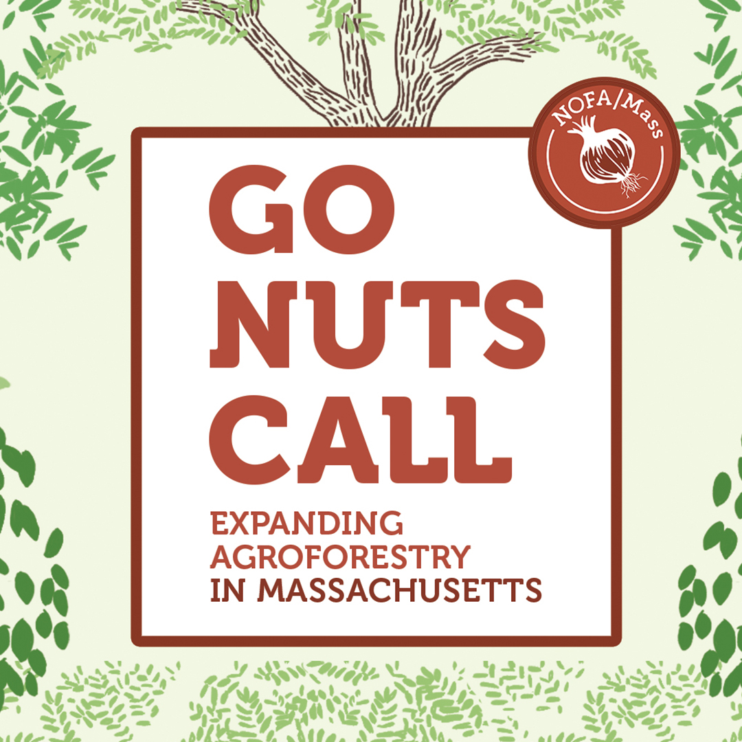 Tomorrow, Thursday evening, September 7th! Join us for another Agroforestry call from 7-8:30pm. Sustain our environment, improve soil health and boost community resilience.

Join in the conversation, ask questions, or just come to listen!

nofamass.org/event/go-nuts-…