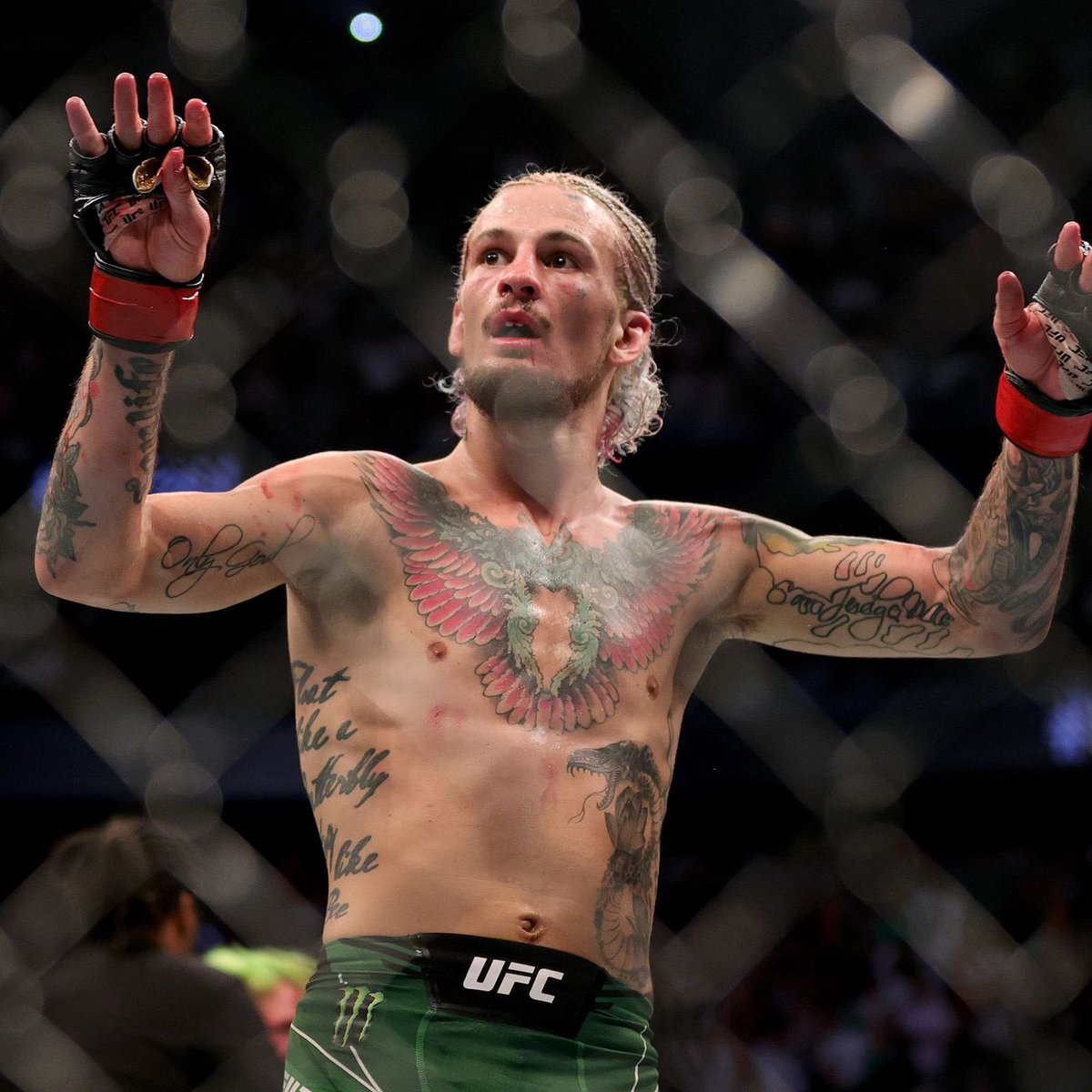 🗣️Sean O’Malley: “I knocked out Merab the same night I knocked out Aljo. They’re the same person. They hold hands.”
[The MMA Hour]
#UFC292 #UFC #MMA