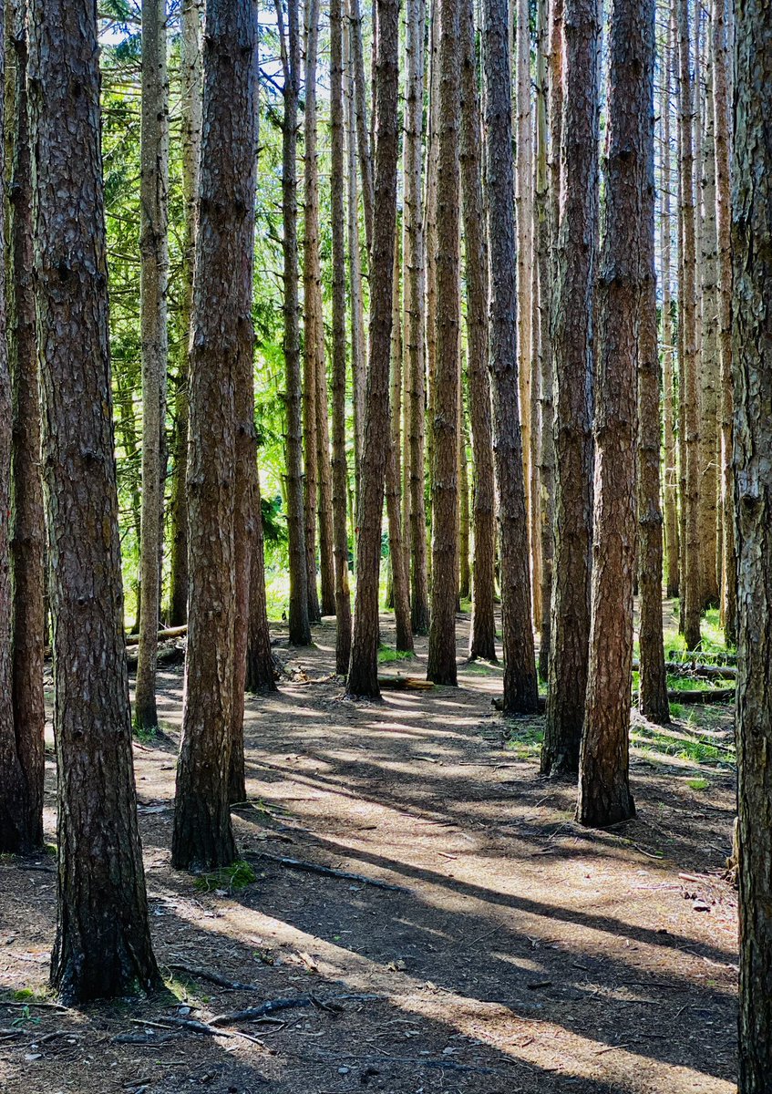 beechandsand's tweet photo. September beckons visitors to Pocono Lake with its mild weather, hints of autumn's colorful foliage, and a serene atmosphere. Whether you seek adventure in the great outdoors or a peaceful retreat, this month delivers. Book now, https://t.co/3APylIohP3 https://t.co/rTxAIlLWr6