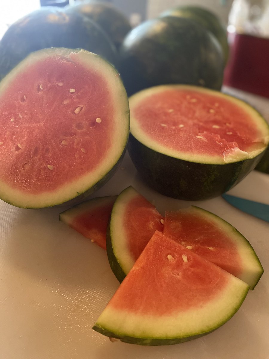 It’s so hot and our unhoused and vulnerable Neighbours are indeed suffering with no respite. We’ve got watermelon and lunches, but we need to give #housing and #washrooms . Thank you for your donations that help us help others. #heat #neighbourshelpingneighbours #ottawa