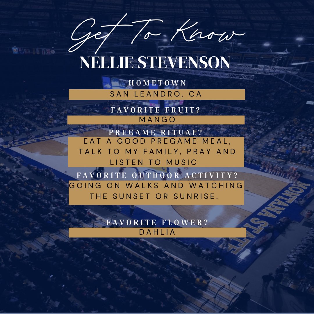 Montana State VB tweet media