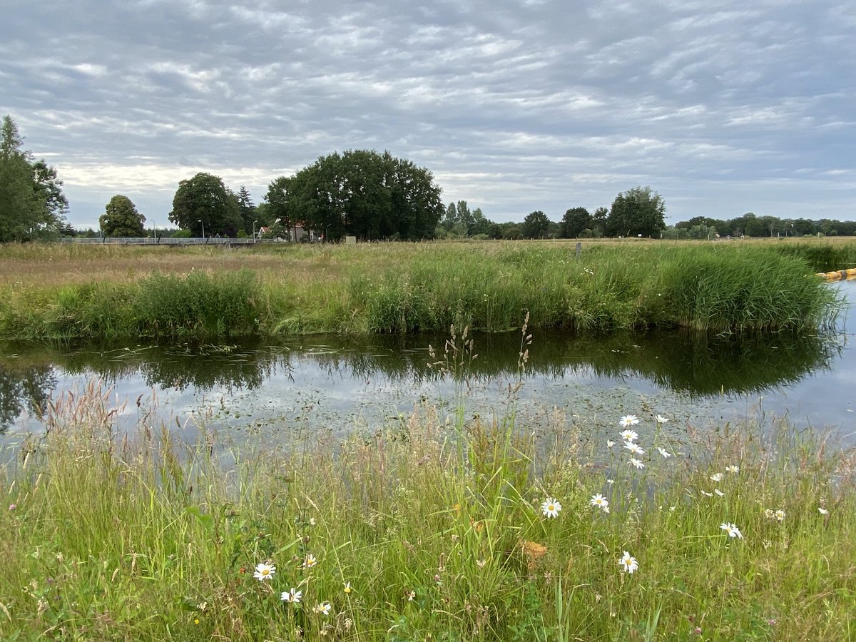Zaterdag 9 september a.s. staat op Open Monumentendag 2023 ook het gemeentelijk monument in Junne in de spotlights. Met een prachtig uitzicht vanaf dit unieke ensemble van brug, stuw en schuivenloods! #levenderfgoed #junne #ommen #monumentendag2023 #brugjunne #vistrap #stuwjunne