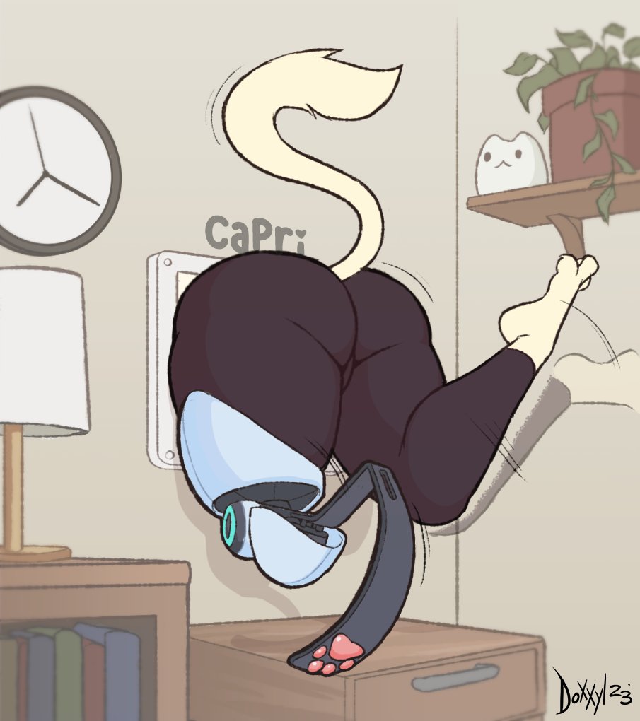 Doxxylbox's tweet photo. Capri is out. https://t.co/GYji1VkzCA