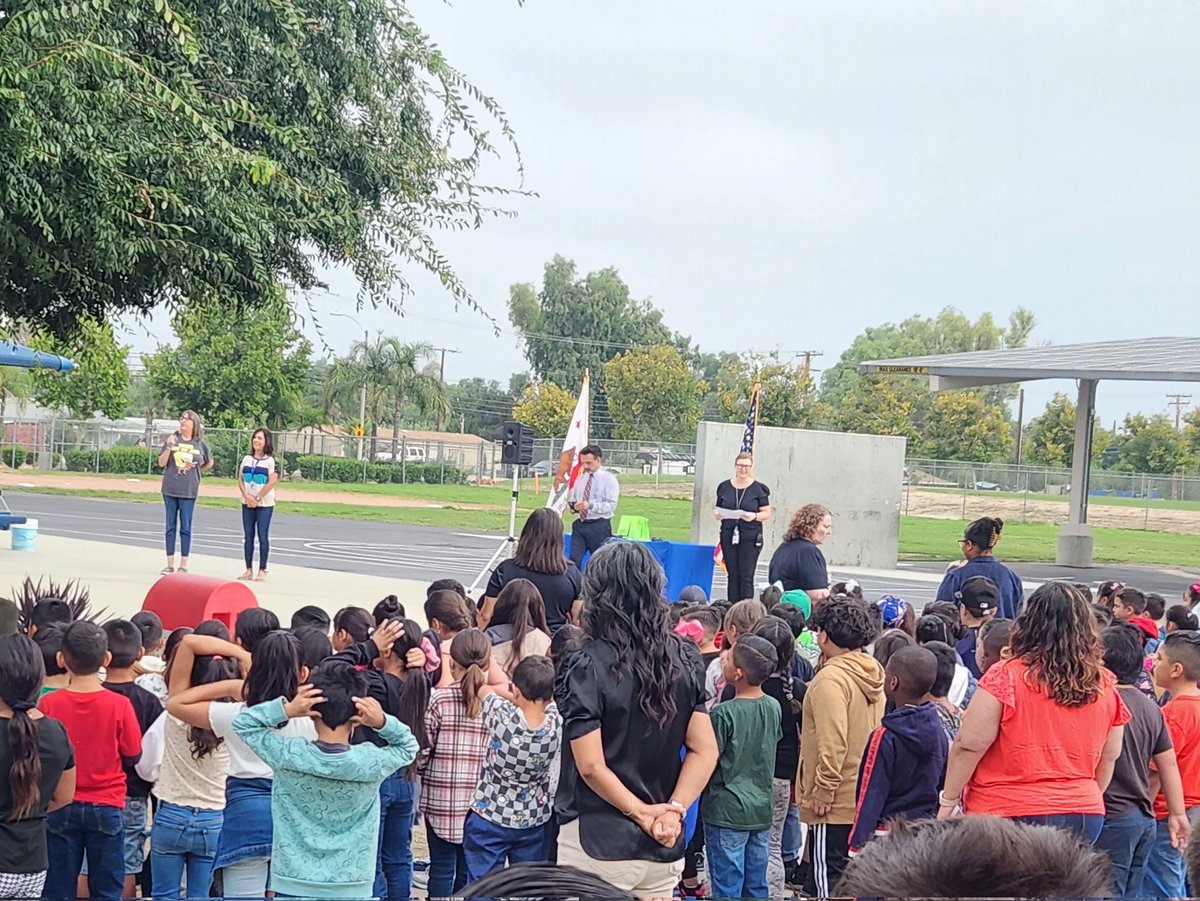 Life Skills_Sasdelli tweet media