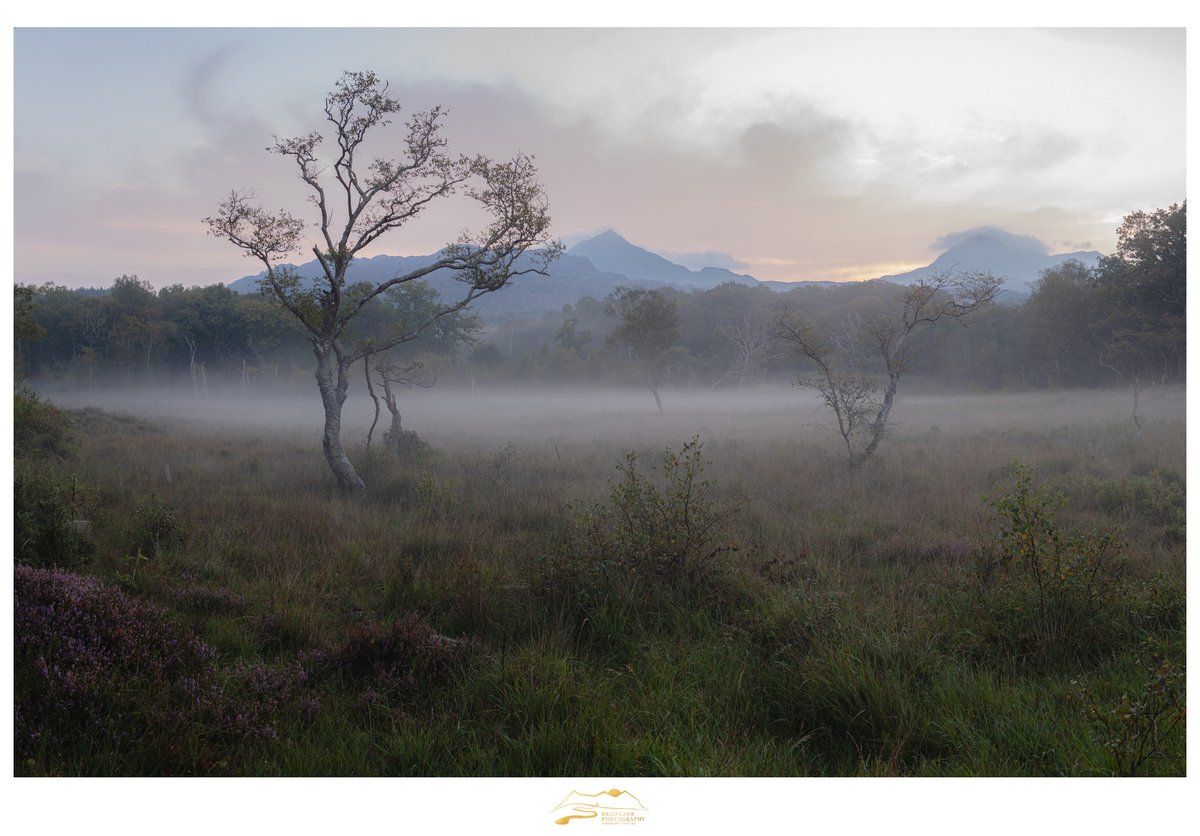 A fine morning in Eryri/ Snowdonia 🏴󠁧󠁢󠁷󠁬󠁳󠁿

I've been waiting patiently for two years to get my chance at making a photograph like this from a truly splendid location.