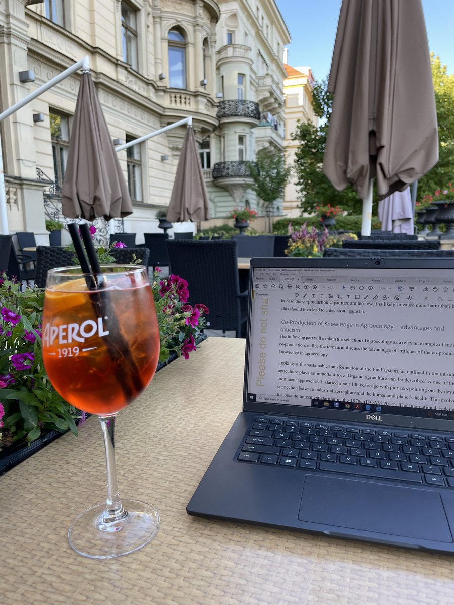 Adam Sheingate tweet media