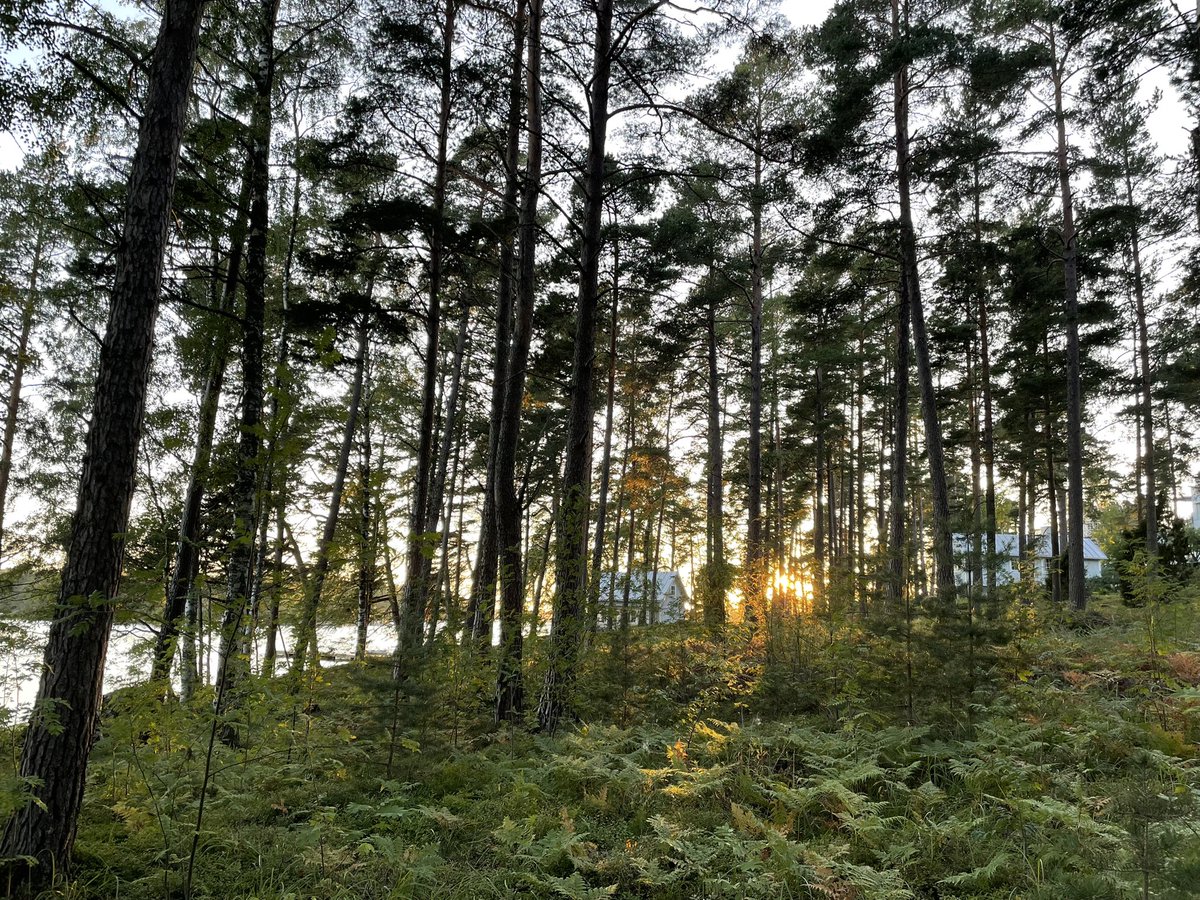 Vuoteni Lapissa päättyi, se oli upea! Nyt samoilen taas Helsingin rannoilla. Mukava se on merikin. <a href="/VisitHelsinki/">Visit Helsinki</a> @visitsodankyla <a href="/visitlapland/">VisitLapland!</a>
