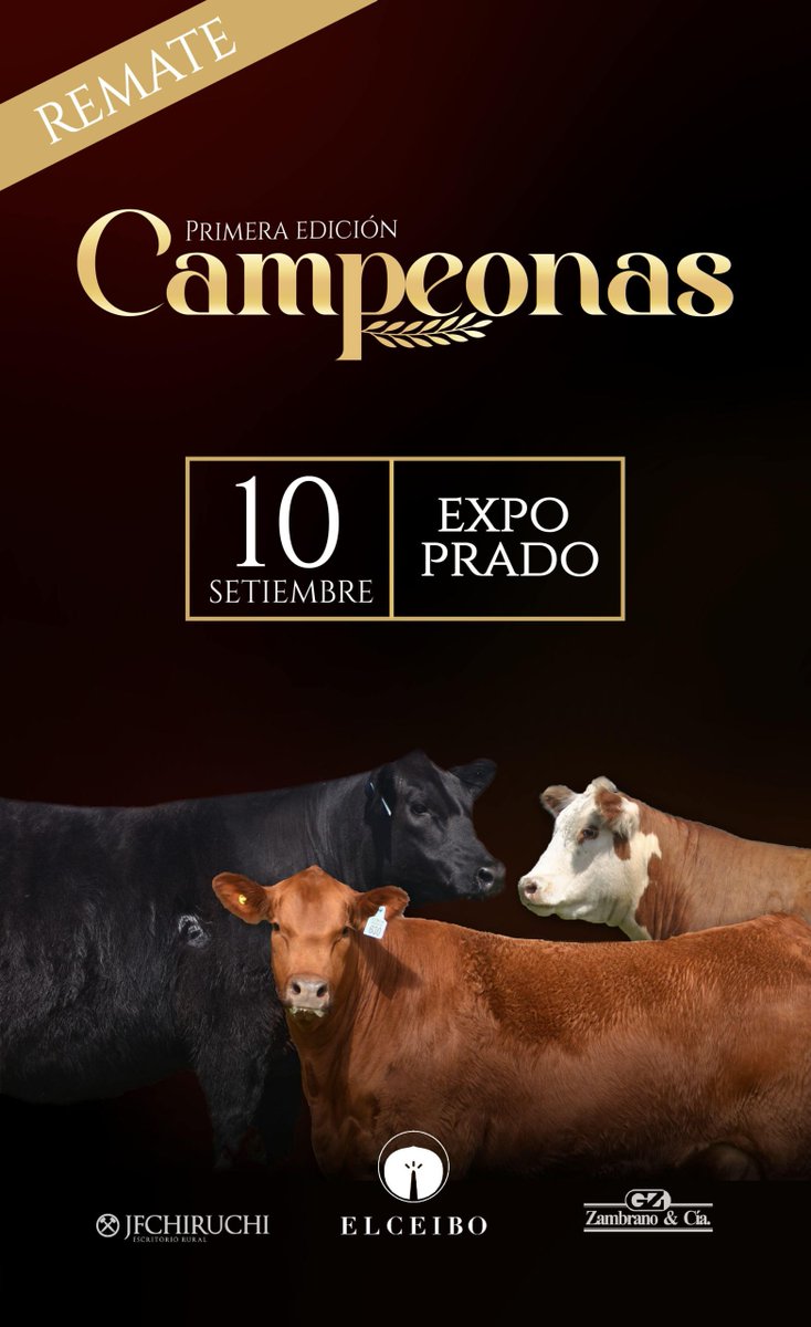 Este domingo Remate Auspiciado Angus 🔨
𝕮𝖆𝖒𝖕𝖊𝖔𝖓𝖆𝖘 
Preofertas abiertas
Más información en zambrano.com.uy/app/app/preofe…