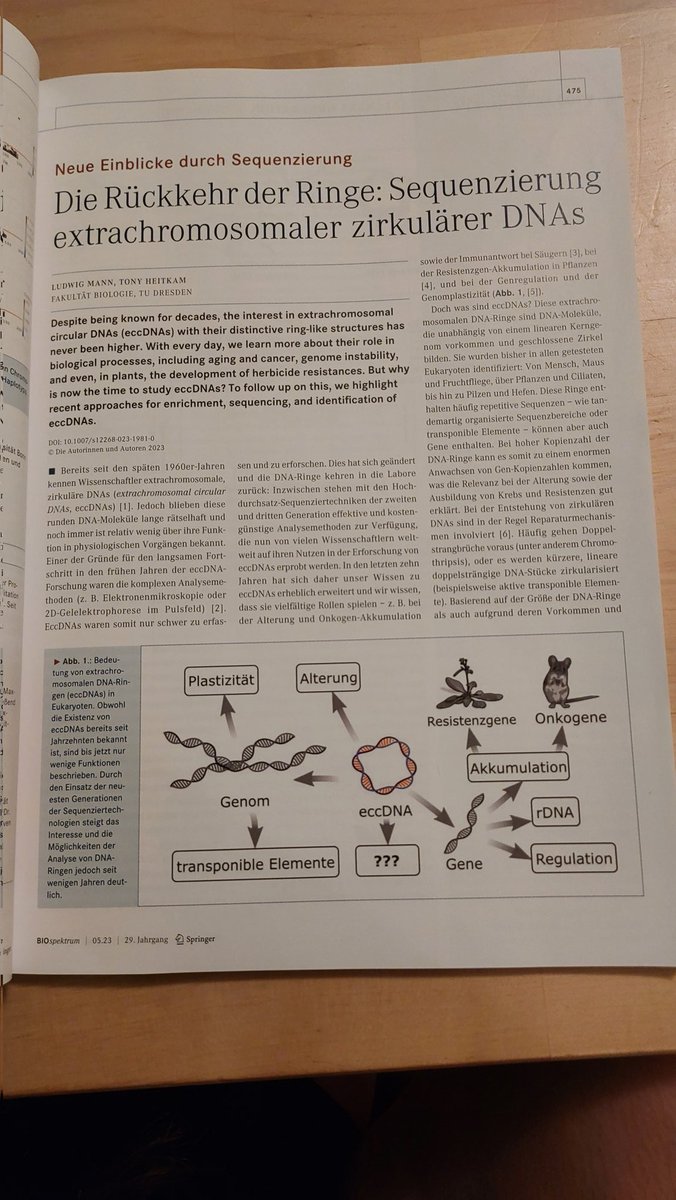 Exciting surprise in my home letterbox today: The Biospektrum with our #eccDNA article was in it💚! 

It is an 
🧬explanatory intro
🧬in German
🧬written with <a href="/crim_bubble/">LMann</a>