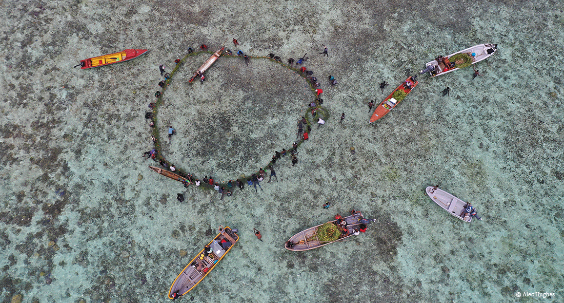 Ocean Outcomes tweet media