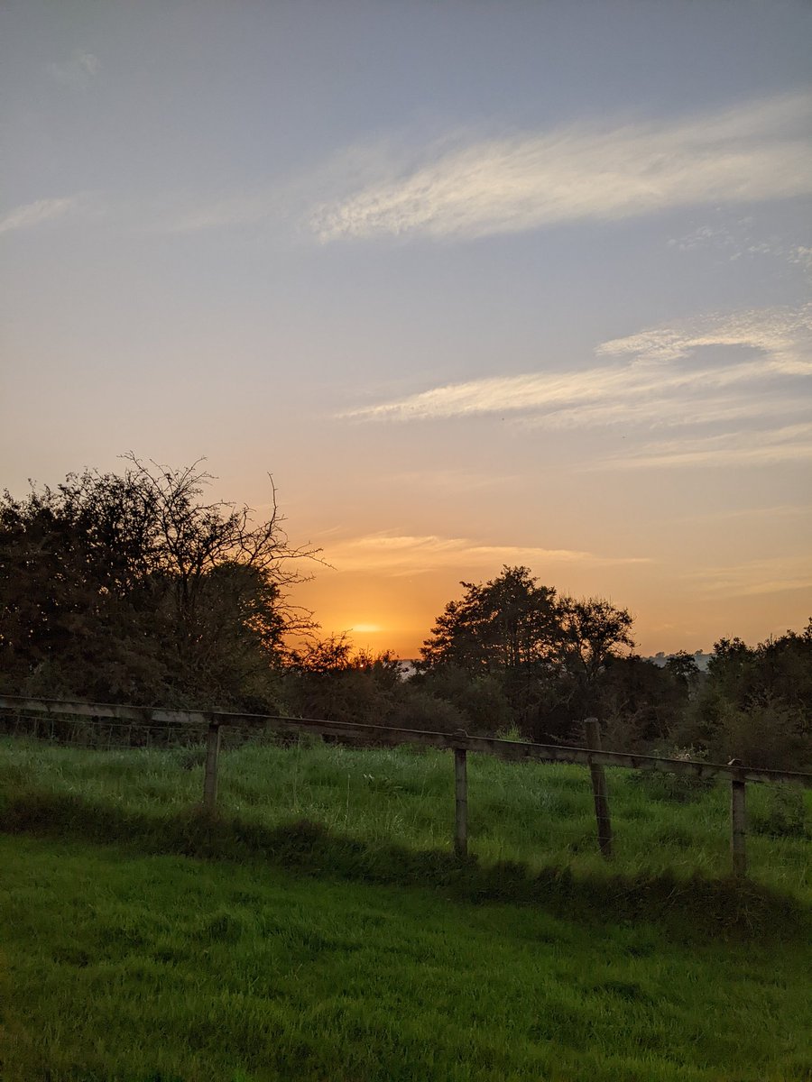 JoeMartinMusic 🎵⚡🧡 tweet media