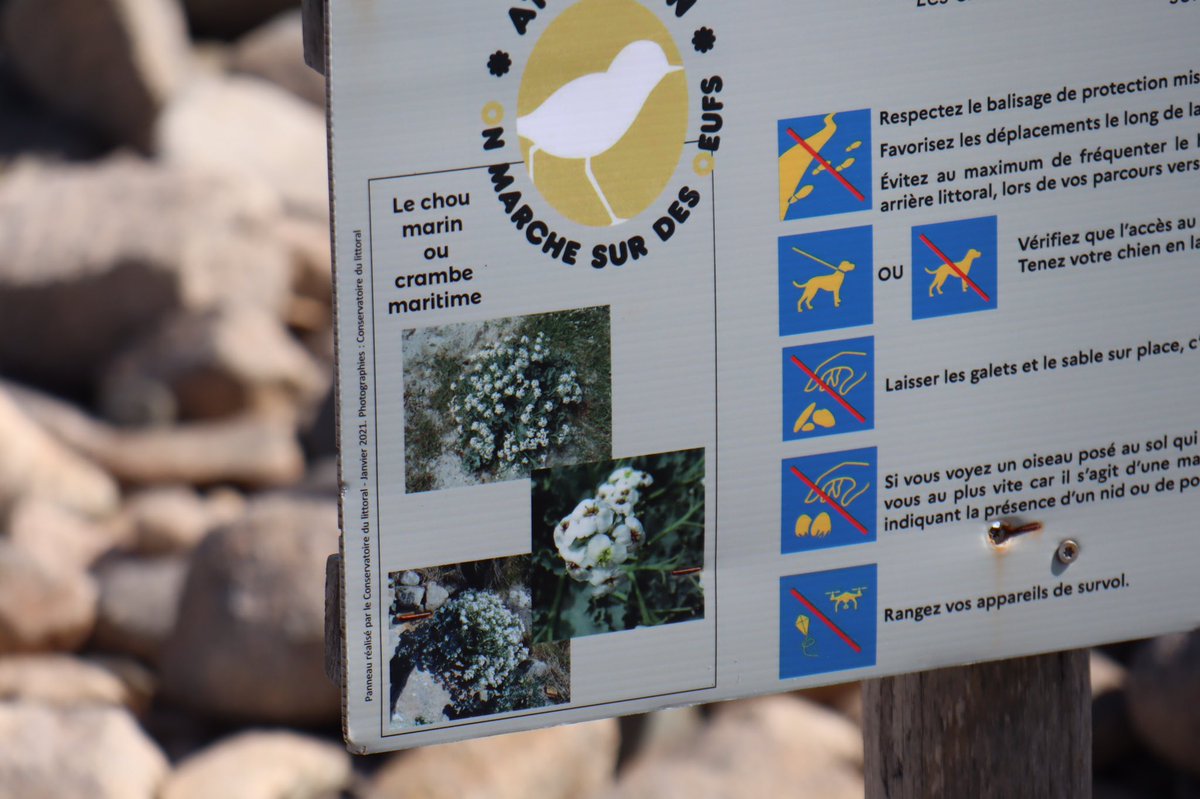 Le pire blog de voyage au monde tweet media