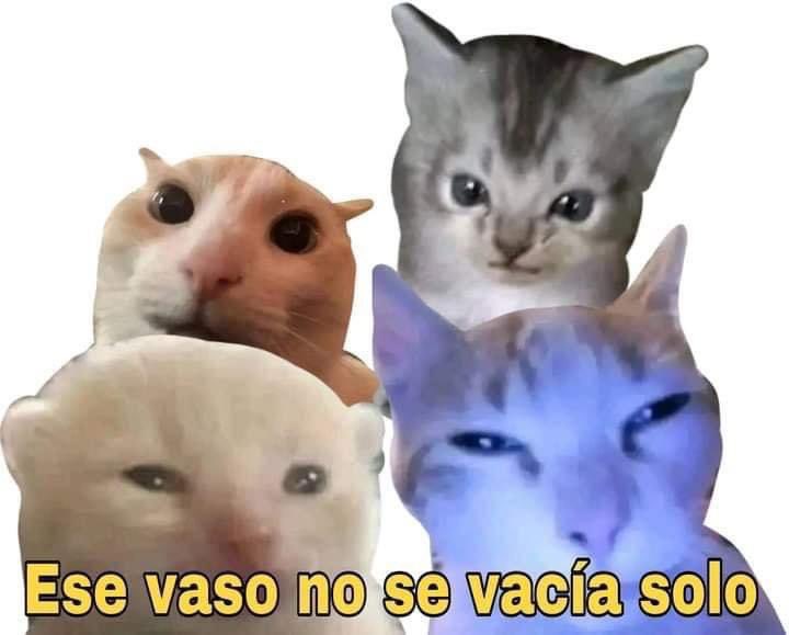 Mi madre: Nadie obliga a tomar a nadie.
Mis panas: