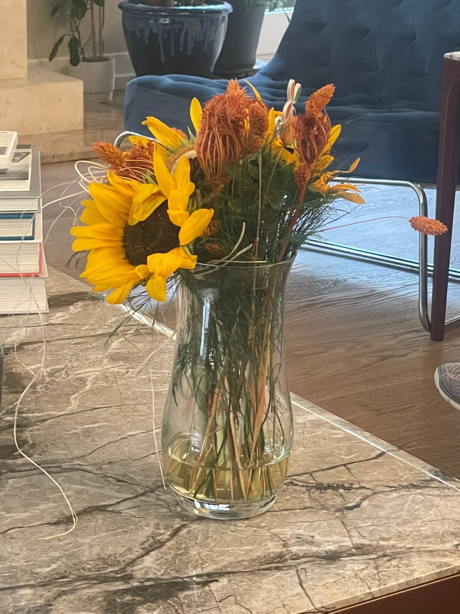 ÇİÇEK SEPETİ !

Kızım için seçtiğim çiçek ilk fotoğrafta.
Ve gönderdiğiniz çiçek ikinci fotoğrafta.
Utanın <a href="/ciceksepeti/">Çiçeksepeti</a> #çiçeksepeti ayıp !