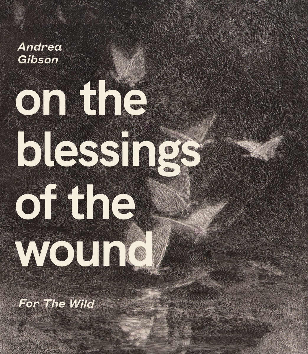 For The Wild tweet media