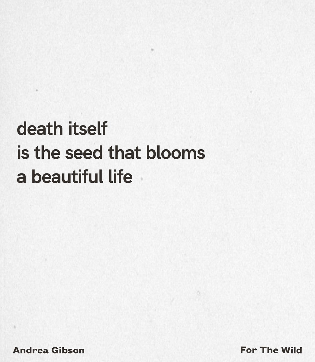 In an episode that cuts straight to the soul, this week’s guest <a href="/andreagibson/">Andrea Gibson</a> joins Ayana in a conversation that asks what it means to truly live.
Listen bit.ly/487skIe
