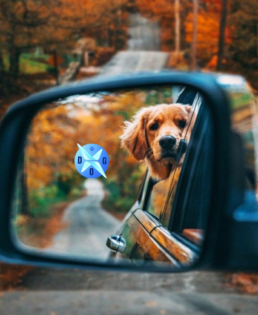 umuttakgn's tweet photo. @CryptoEmdarks #xdog #x_dogtoken #Xdogtokencommunity https://t.co/595feih8h4