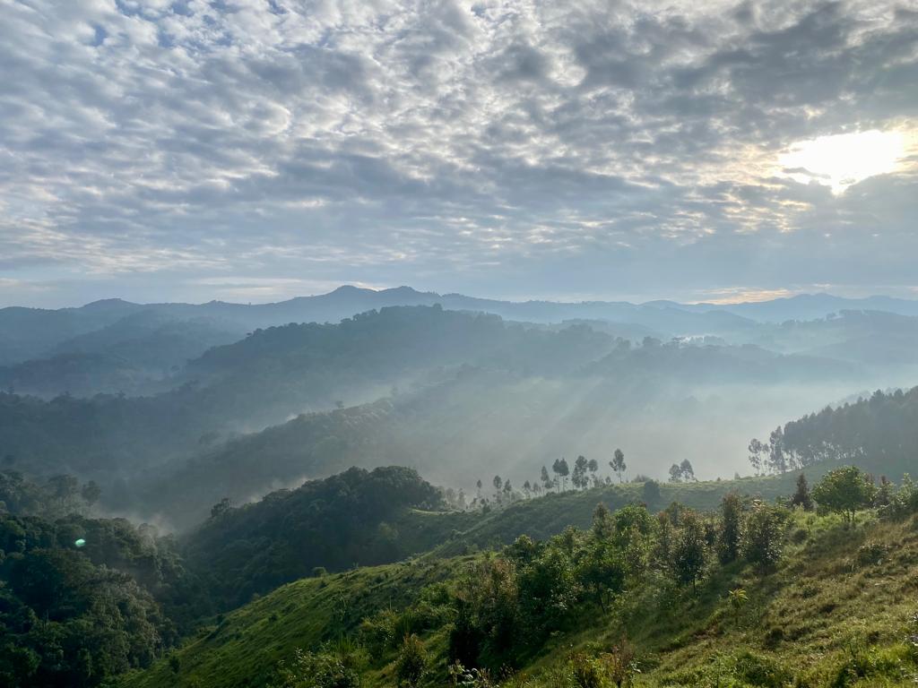 FrancoisQDumont's tweet photo. Rwanda is an incredible country for landscape photography.

Le Rwanda est un pays incroyable pour la photographie de paysage. https://t.co/RrJVI6FdiU