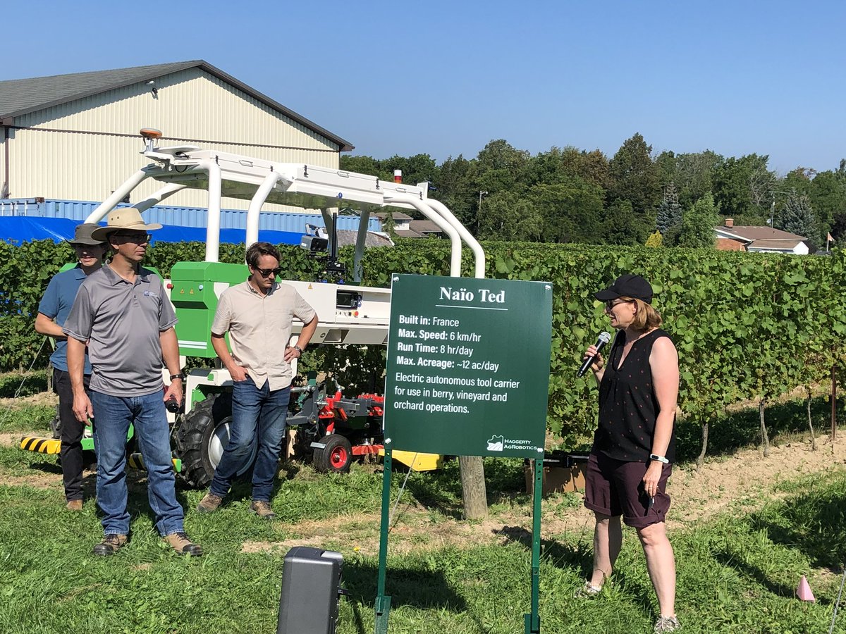 grapegrowersont's tweet image. Grape Grower Demo Day! 🍇 It was a morning of learning with @OMAFRA Check out this vineyard robot 🤖 #grapegrowersofontario #grapegrowers #grapegrowing