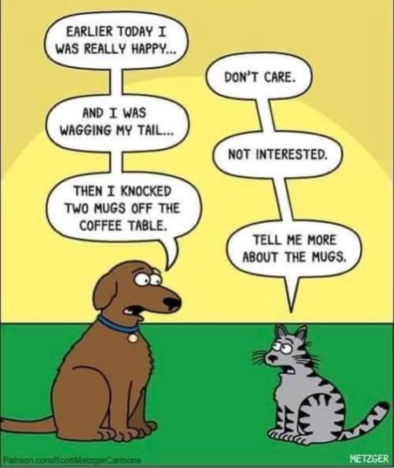 Cat Food Breath (@catfoodbreath) on Twitter photo 