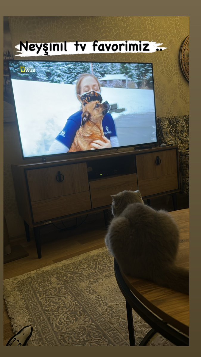 Neyşınıl corafik çenıl favorimiz..