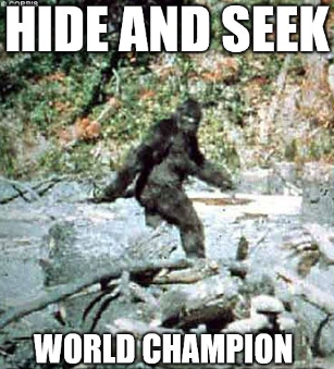 If you wanna find #bigfoot , we're a good source to start #gamedevelopment #videogames #Memes