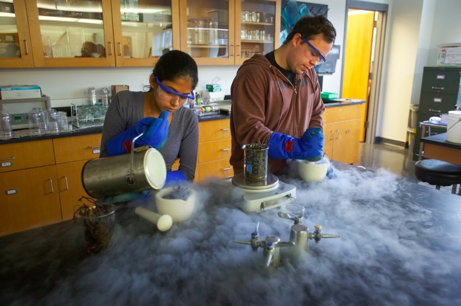 Take on the world’s most urgent challenges with the tools of #science. Our science education programs range from #biosciences and #chemistry to #neuroscience and #marinescience. Find out more: bit.ly/3NIVsvG #UNE #UNEprograms