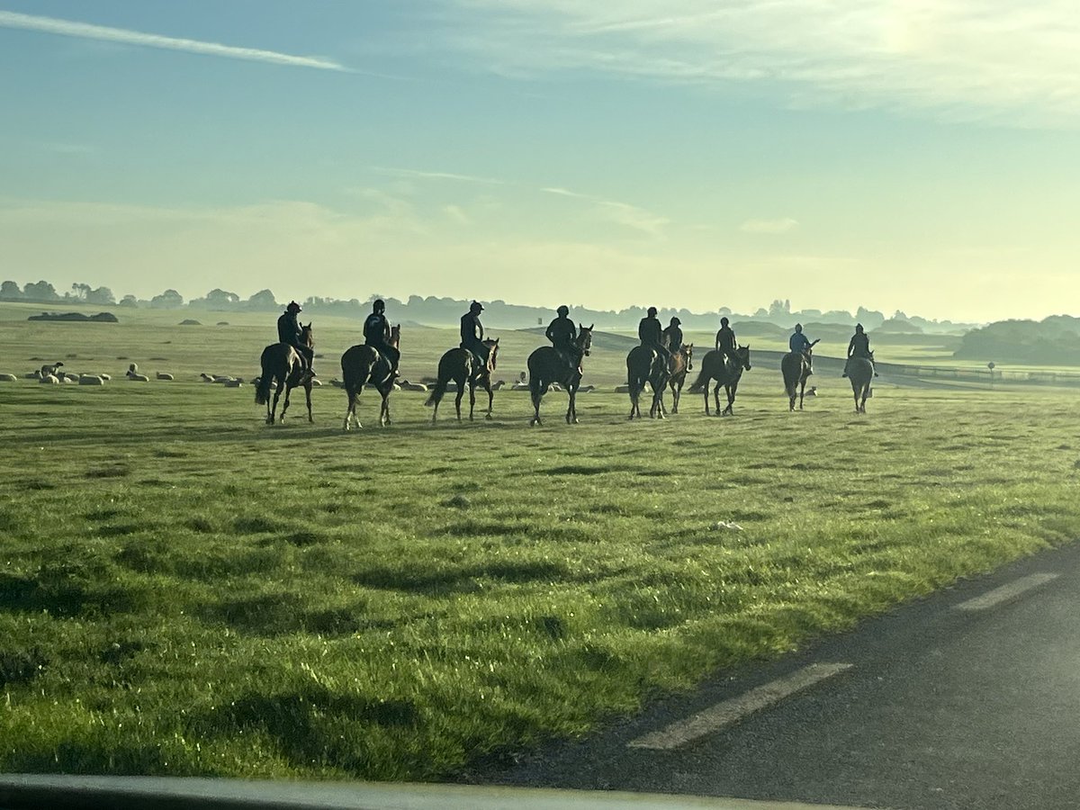 What a view this morning watching @JohnnyMurtagh string head out to exercise on @curraghrace