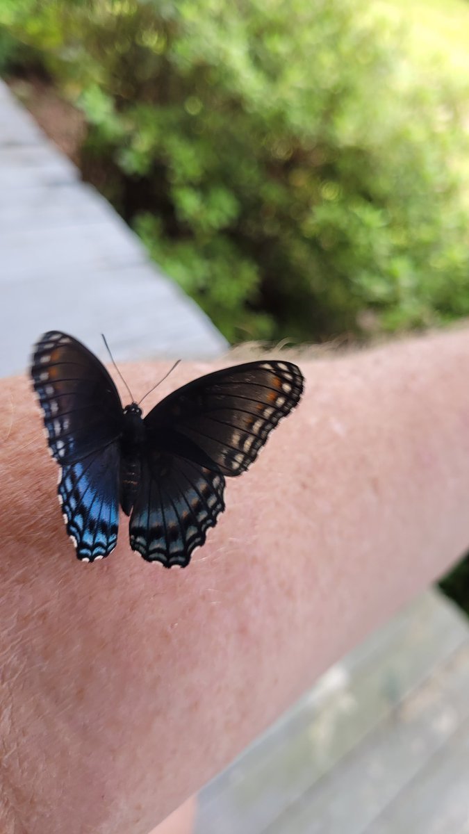 maygra's tweet image. Visitor