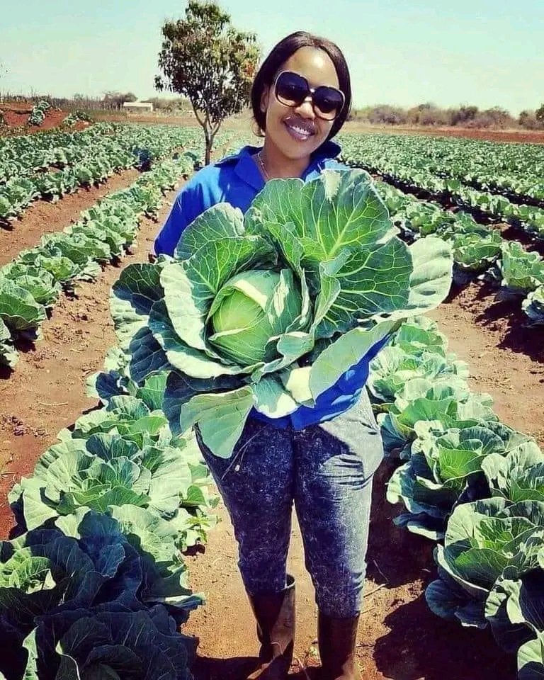 joy_zelda's tweet photo. She is 33 years old 👊
She is Black🙌
She is a farmer 👌
She employed 62 people🙌
She feeds 62 families🤜🤛

RESPECT 🙏 👏
Mrs Mops R Kelly Cyan Boujee Ntanzi Zuma #SenzoMeyiwa
Somizi https://t.co/eddcQ64tw8