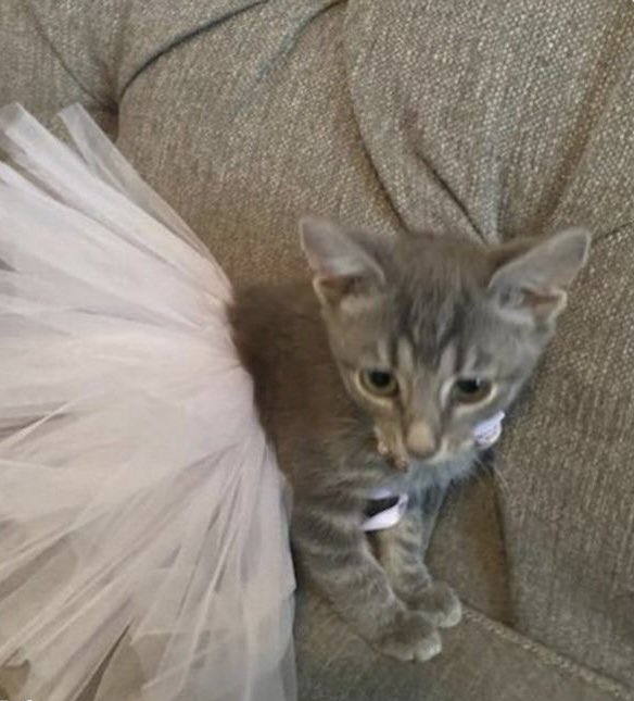 heartipink's tweet photo. he was a punk                        she did ballet https://t.co/7mpZ6h6g0S