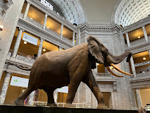 TRooseveltAssoc's tweet image. Have you signed up for the Annual Meeting? Each participant gets TWO exclusive tours.  One is the rare opportunity to see specimens donated by TR at the Smithsonian - these are scientific specimens are NOT on public display. Signup now at theodoreroosevelt.org