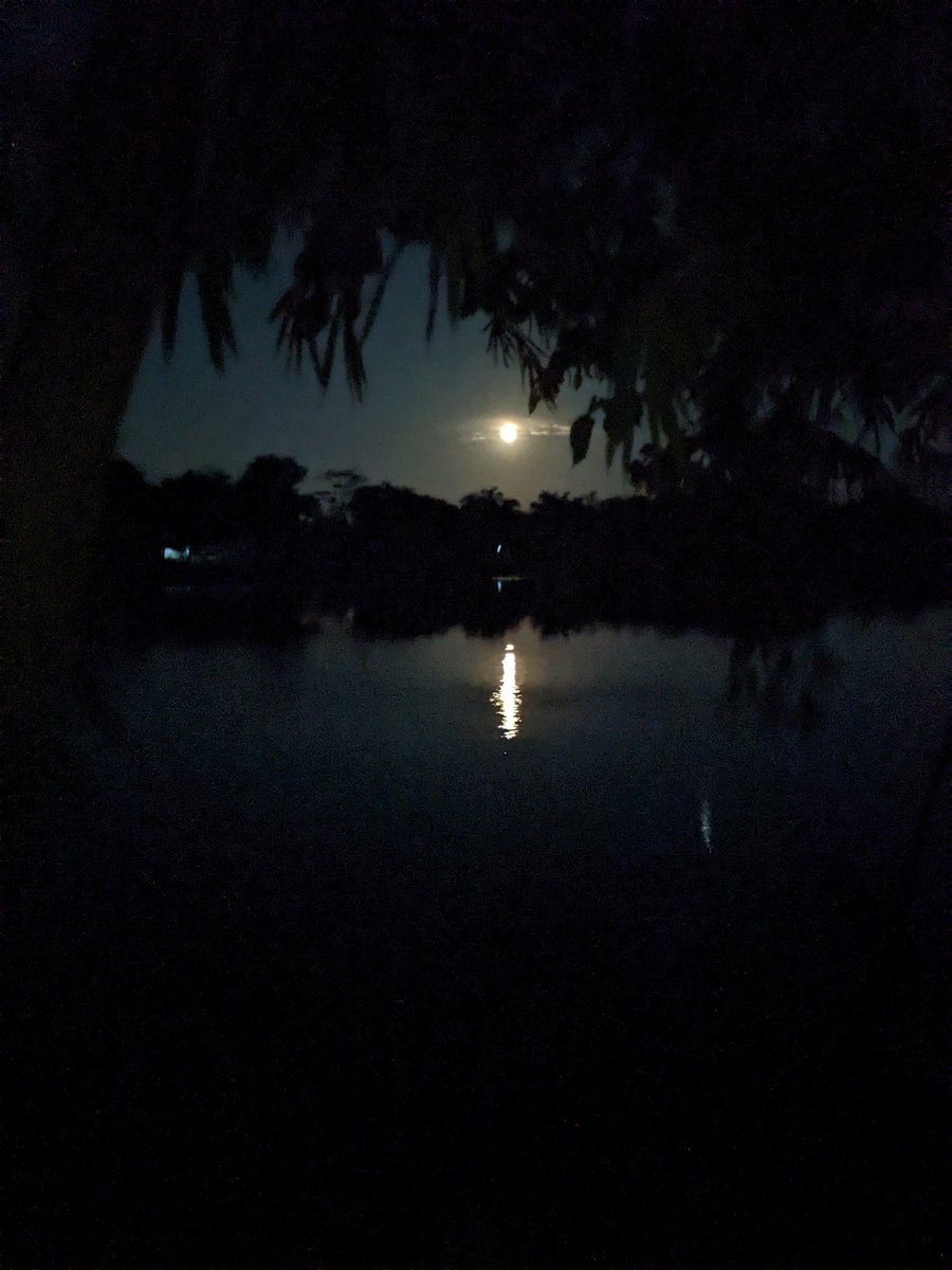 Ashraf_3964's tweet photo. Good night https://t.co/mTFtgy8C70